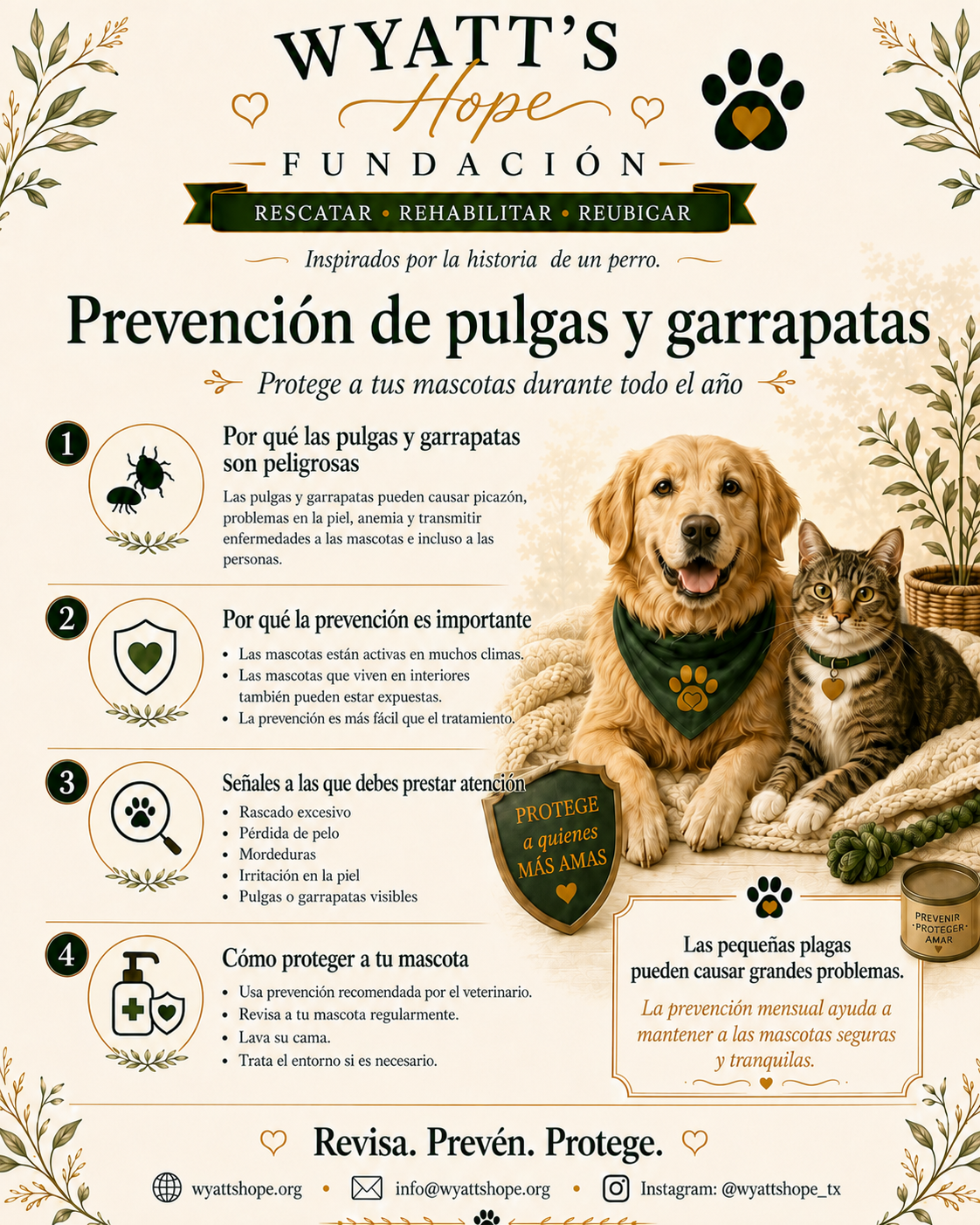 Prevencion de pulgas y garrapatas