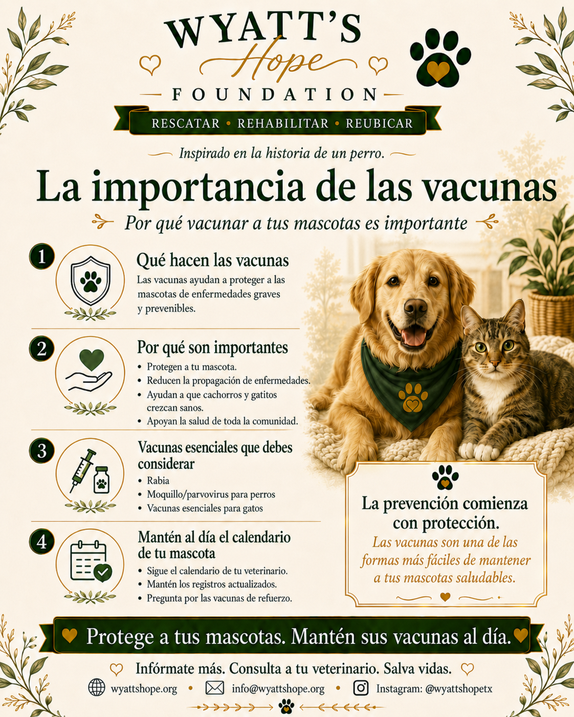 Vacunas y bienestar